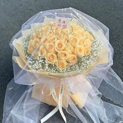 安阳52朵香槟玫瑰满天星，你就是我的全部