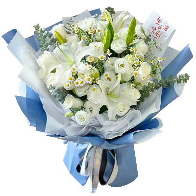 安阳11朵白玫瑰桔梗百合，爱永恒不息